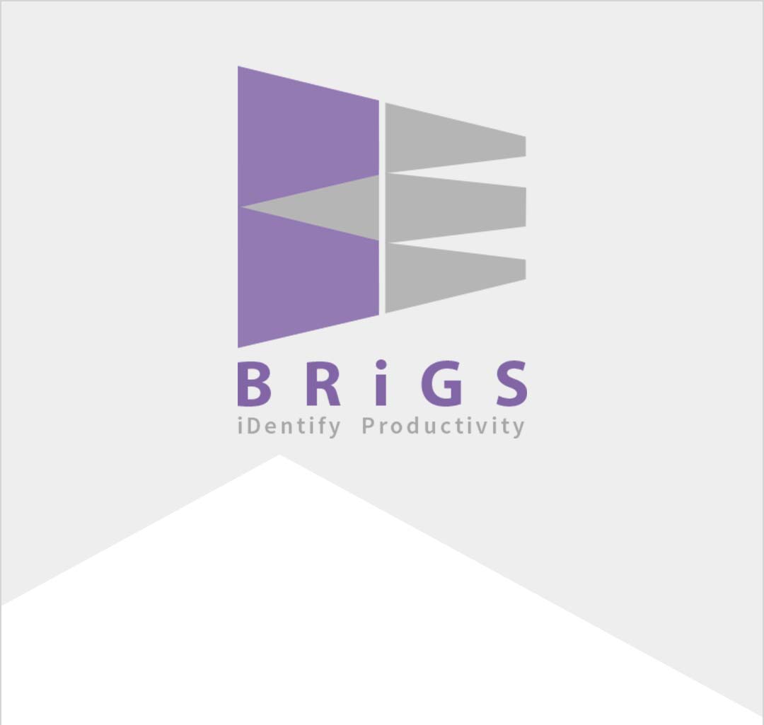 BRIGS ESPRO Services Pvt. Ltd.
